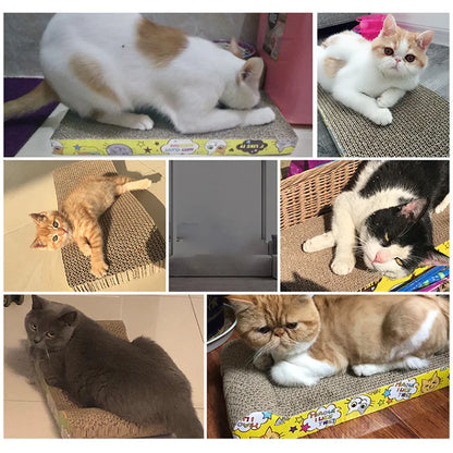 Cat Scratcher Sofa | 2-in-1 Bed & Claw Sharpener